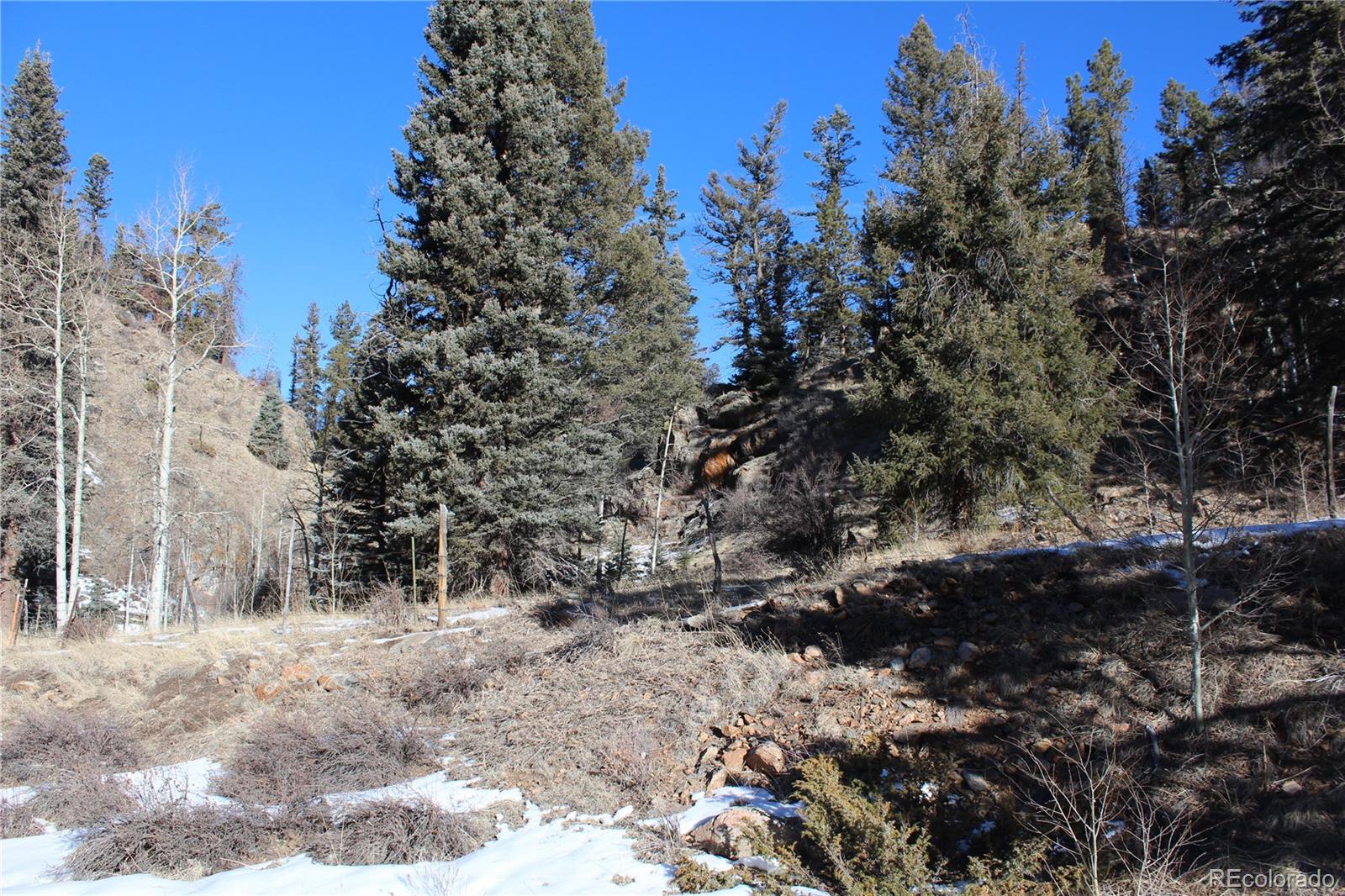 Land in Westcliffe 2