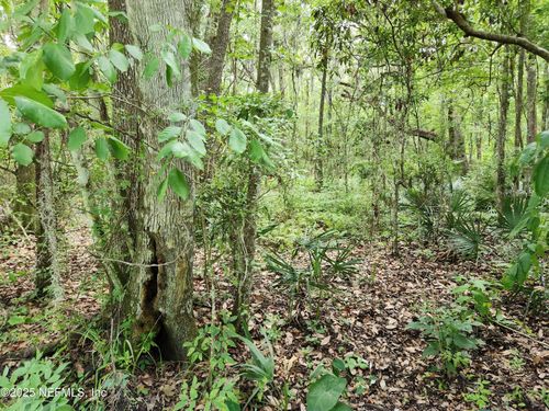 315 3rd Way, Interlachen, FL, 32148-6901 | Card Image