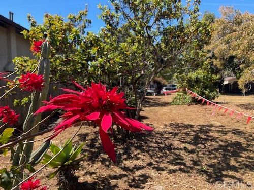 3328 Roosevelt St, Carlsbad, CA, 92008-3043 | Card Image