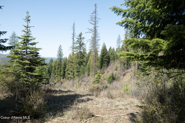 262 North Side Road, Home with 0 bedrooms, 0 bathrooms and null parking in Calder ID | Image 60