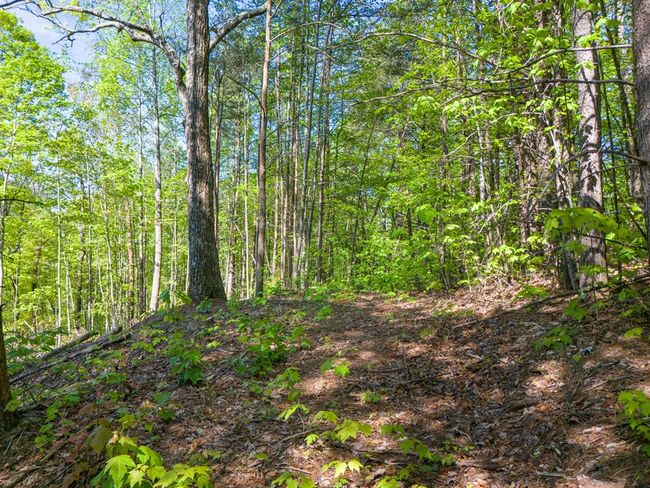 Lot 73 Mountain View Rd, Home with 0 bedrooms, 0 bathrooms and null parking in Ellijay GA | Image 11