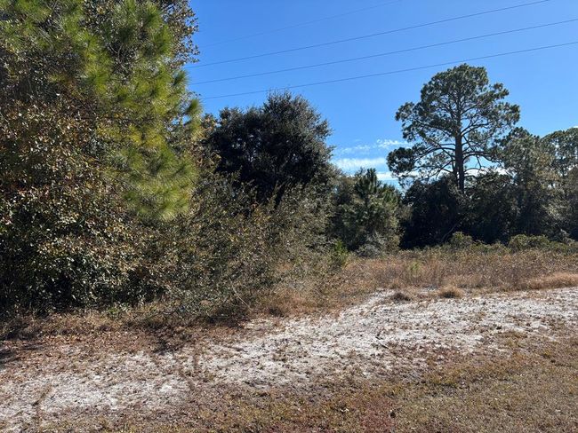 228 Boncycle Land Dr, Home with 0 bedrooms, 0 bathrooms and null parking in Eastpoint FL | Image 4