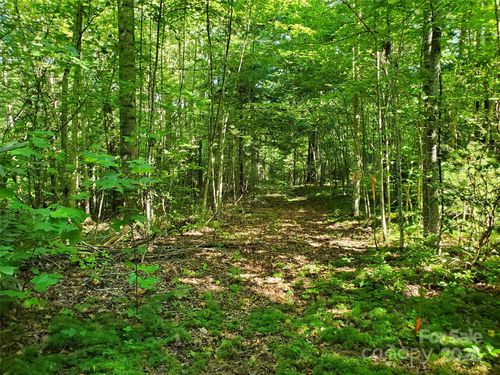 00 Staton Ridge Rd, Saluda, NC, 28773 | Card Image