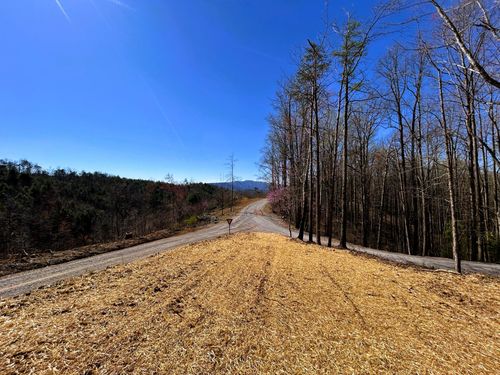 107 Chestnut Cv, Reliance, TN, 37369 | Card Image