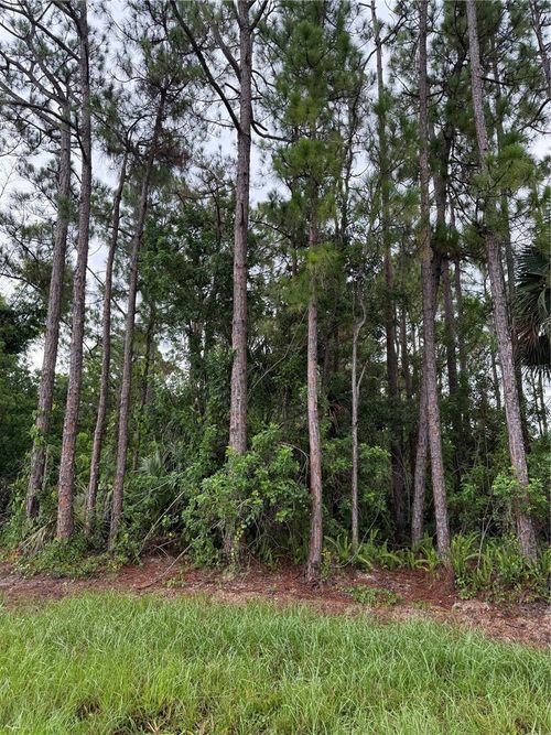 2361 San Filippo Dr Se, PALM BAY, FL, 32909-7215 | Card Image