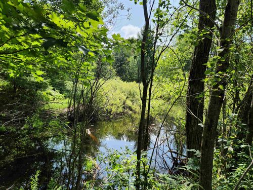 500 E Trail Se, Kalkaska, MI, 49646-8280 | Card Image
