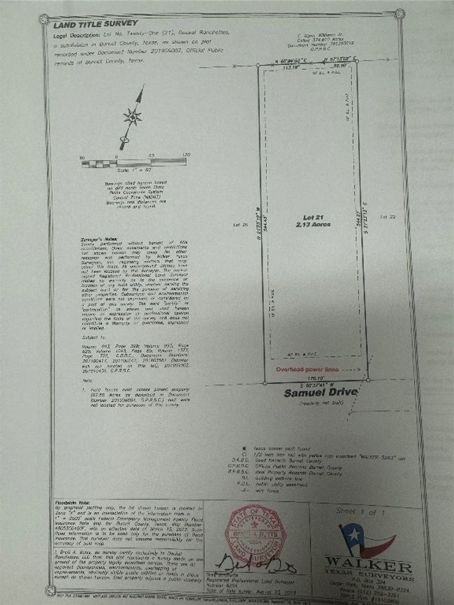 Survey | Image 7