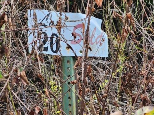 Lot 20 Apache Rd, Jamestown, TN, 38556 | Card Image