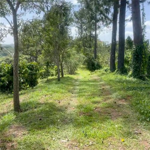 SOLAR 37 Bo Fronton, Ciales, PR, 00638 | Card Image