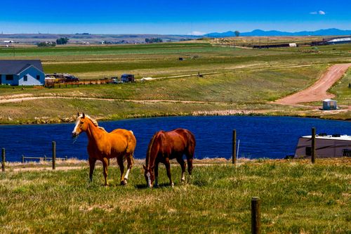 20 Kamloops Rd, Power, MT, 59468-9365 | Card Image