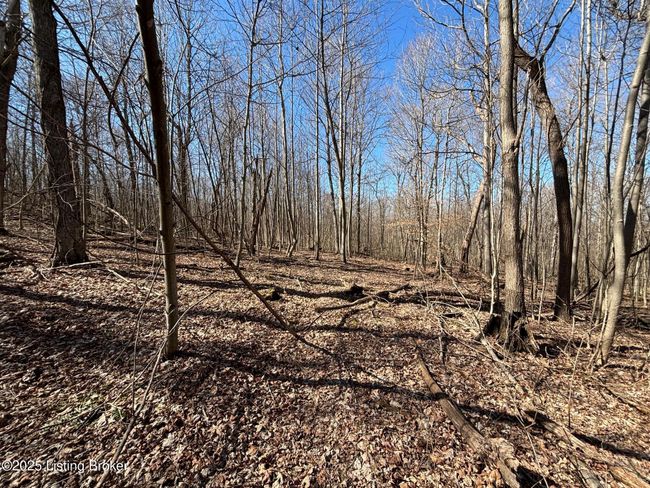 2701 Hardesty Raymond Rd, Home with 0 bedrooms, 0 bathrooms and null parking in Webster KY | Image 23