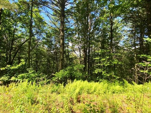 Lot 97 Choctaw Ridge Trail, Murphy, NC, 28906 | Card Image