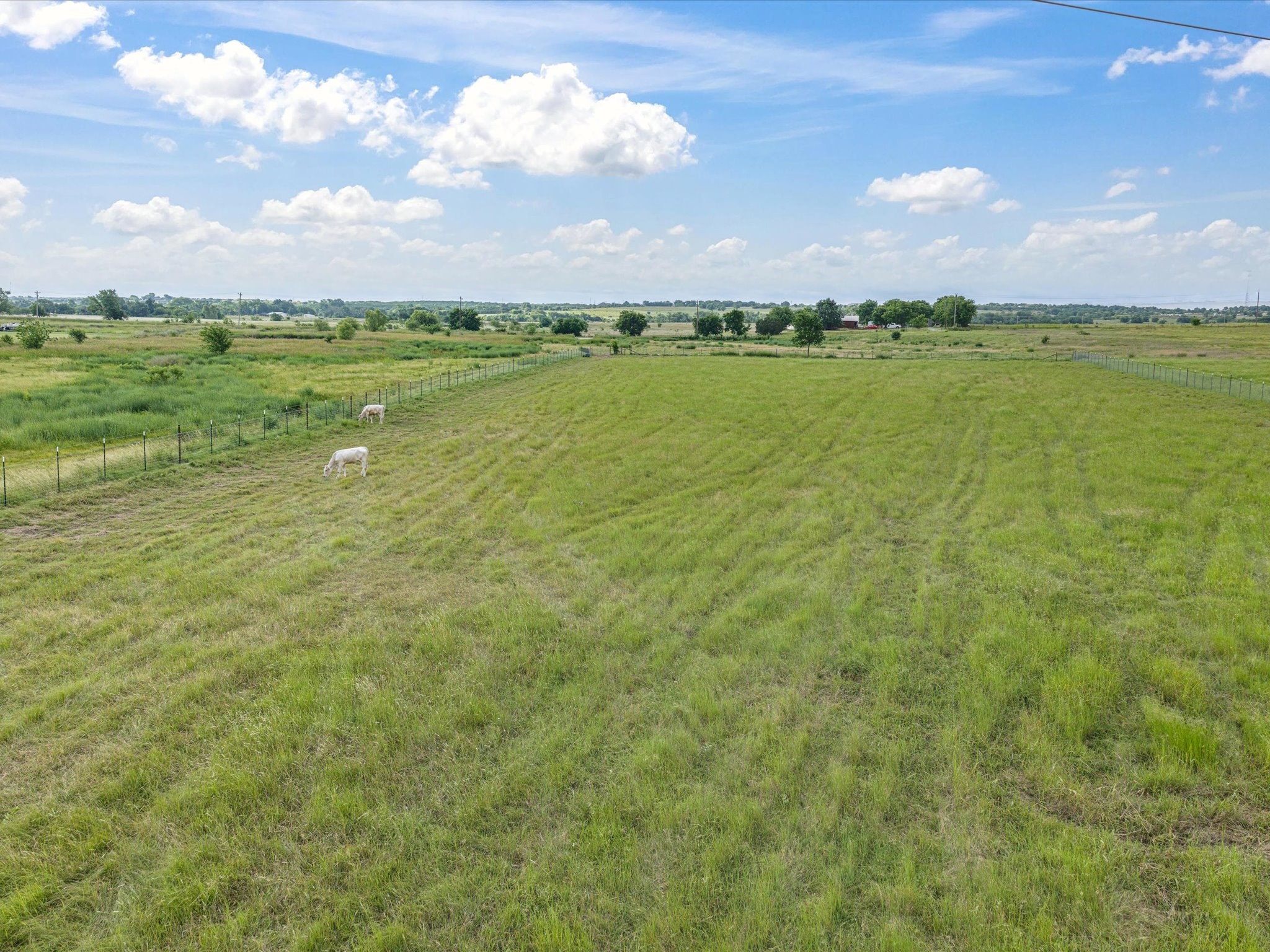 Land in Cleburne 3