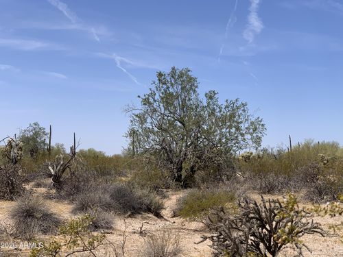 y-0 E Mayfield Road, Florence, AZ, 85132 | Card Image