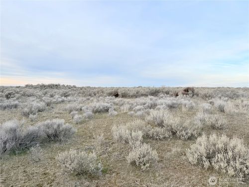 0 6th St N, Wilson Creek, WA, 98860 | Card Image