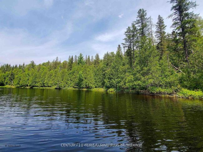 PCL5137 Montreal River N/A, Home with 0 bedrooms, 0 bathrooms and null parking in Timiskaming ON | Image 8