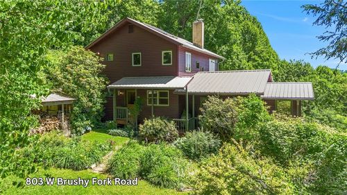 803 W Brushy Fork Rd, Creston, NC, 28615-9459 | Card Image