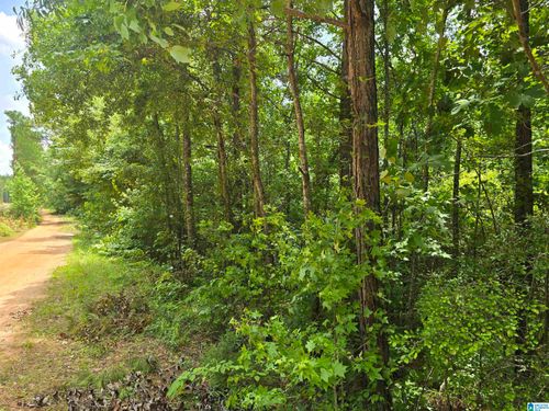 7-0 Coosa County Road 118, Rockford, AL, 35136 | Card Image