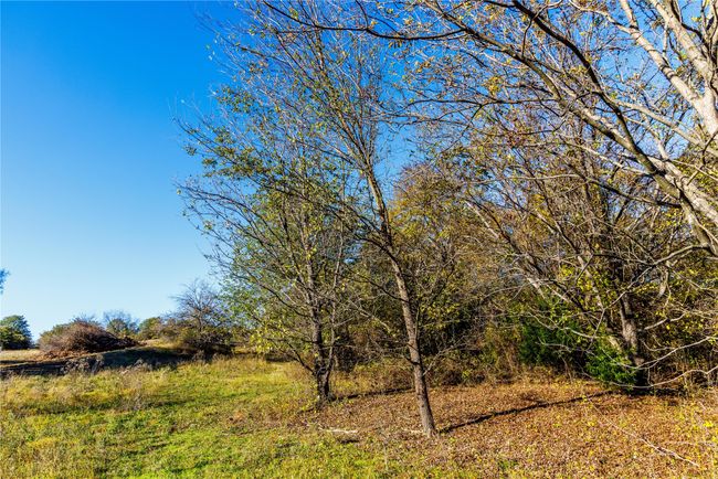 Tract 4 Lazy E Rd, Home with 0 bedrooms, 0 bathrooms and null parking in Saint Jo TX | Image 16