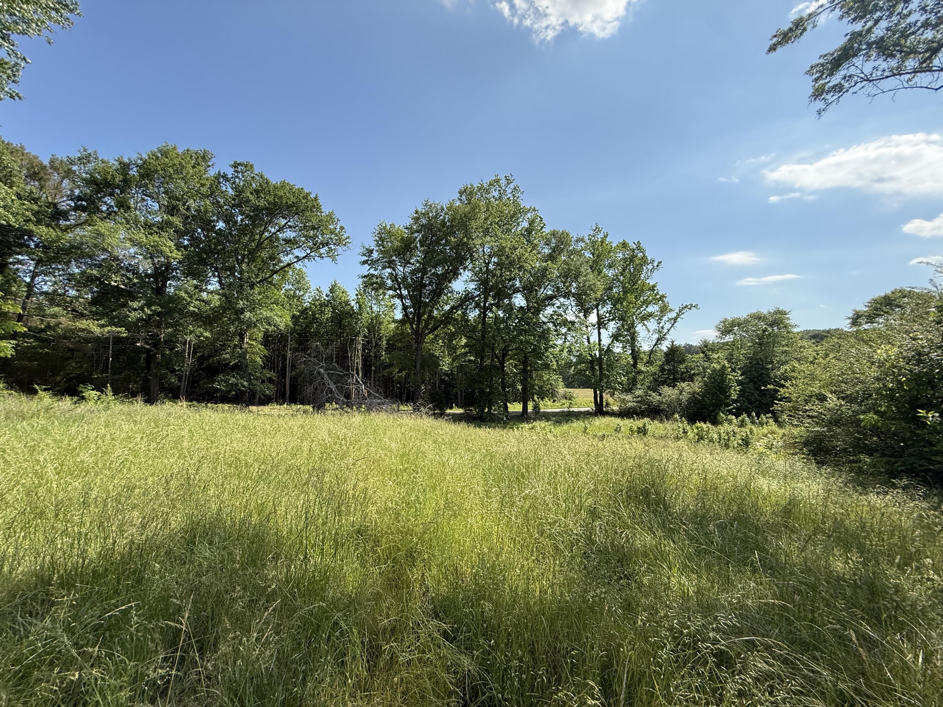 Land in Fulton 3