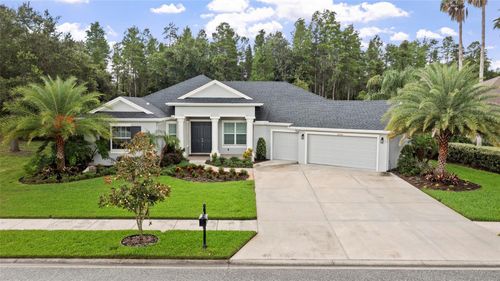 20454 Lace Cascade Rd, LAND O LAKES, FL, 34637-5807 | Card Image