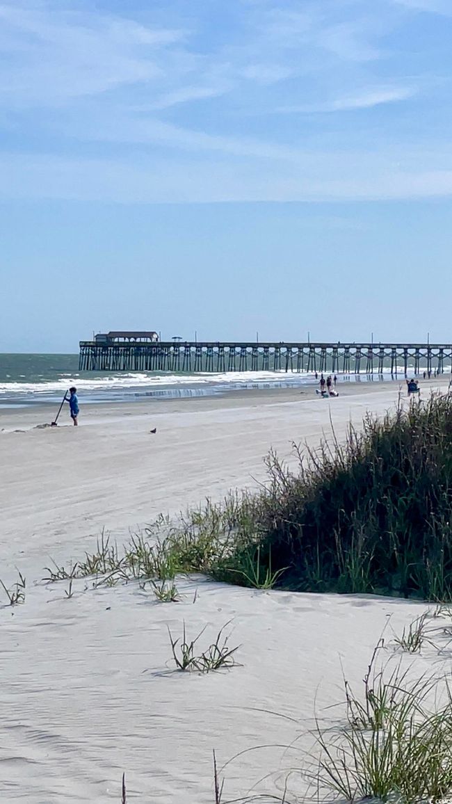 101 - 625 N Waccamaw Dr, Condo with 1 bedrooms, 1 bathrooms and null parking in Murrells Inlet SC | Image 30