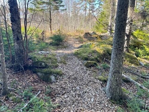 9 Rockledge Road, South Thomaston, ME, 04858 | Card Image