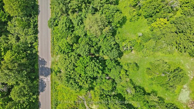 1134 Walker Line Rd, Home with 0 bedrooms, 0 bathrooms and null parking in Algonquin Highlands ON | Image 21