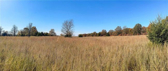 11999 - 11201-11999 Se 700 Rd, Home with 0 bedrooms, 0 bathrooms and null parking in Weaubleau MO | Image 25
