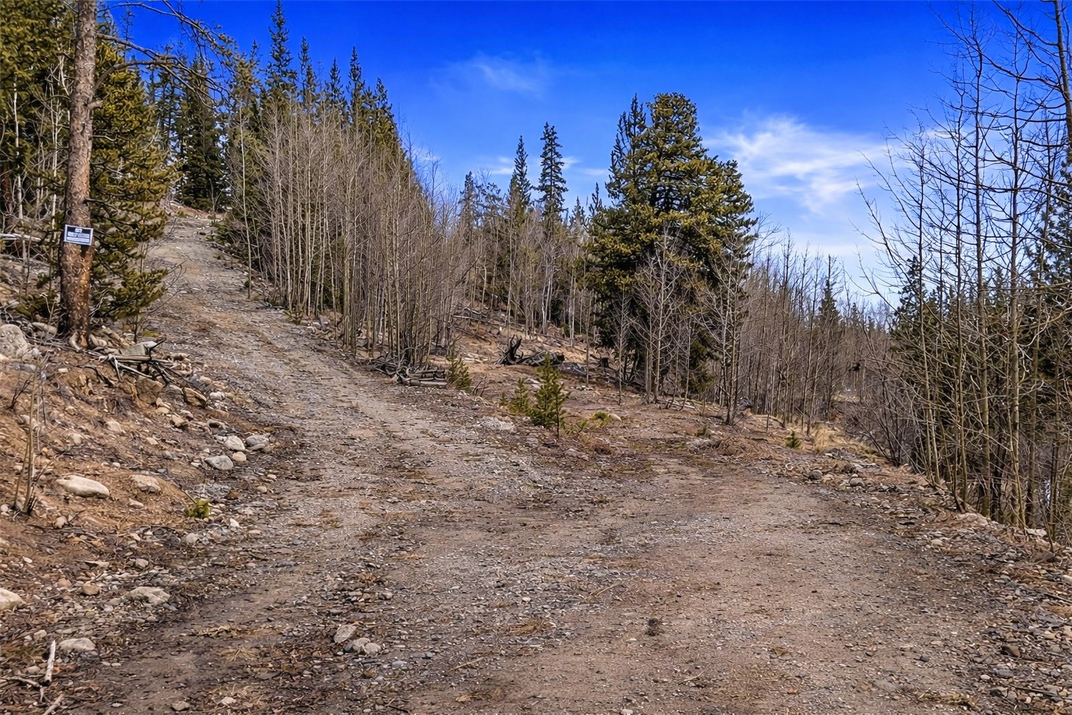 Land in Alma 3