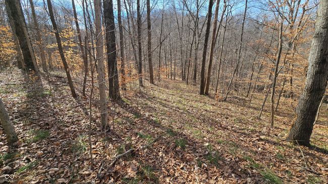 9885 W County Road 75 S, Home with 0 bedrooms, 0 bathrooms and null parking in Medora IN | Image 21