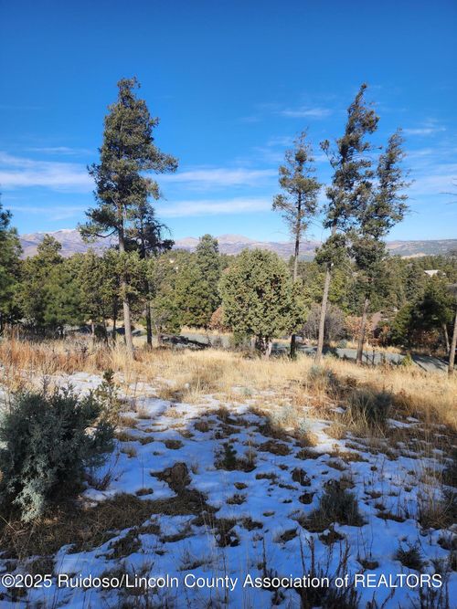 229 Cummings Dr, Ruidoso, NM, 88345-9105 | Card Image