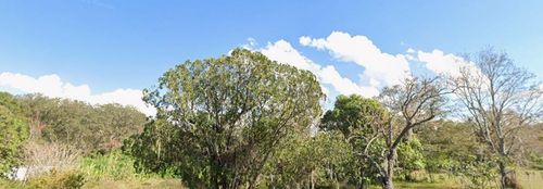 1342 Avalon Rd, Winter Garden, FL, 34787-6007 | Card Image