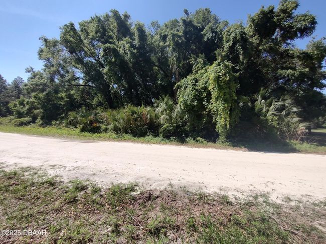 101 Hudson Dr, Home with 0 bedrooms, 0 bathrooms and null parking in Satsuma FL | Image 4