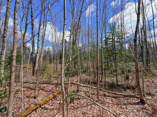 Lot 4 Oregon Road, Concord, VT, 05824 | Card Image