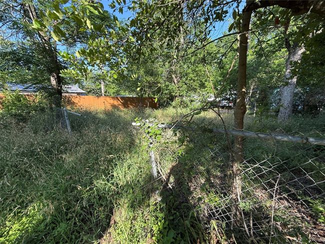 View of local wilderness | Image 9