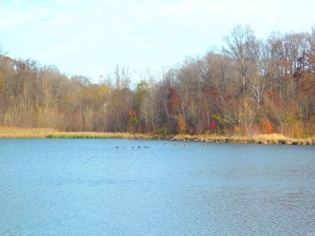 160 N Deer Run Ln, Home with 0 bedrooms, 0 bathrooms and null parking in Winslow IN | Image 4
