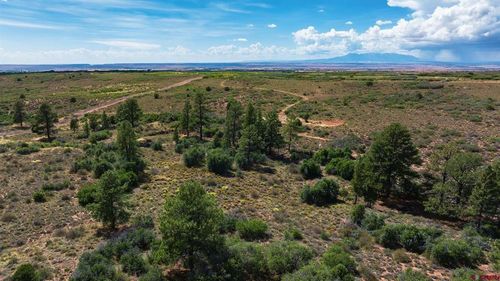 TBD Road 9.4, Dove Creek, CO, 81324 | Card Image