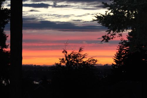 10601 Hermosa Dr, Delta, BC, V4C6S8 | Card Image