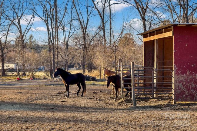 Near Cane Creek horse farms. | Image 39