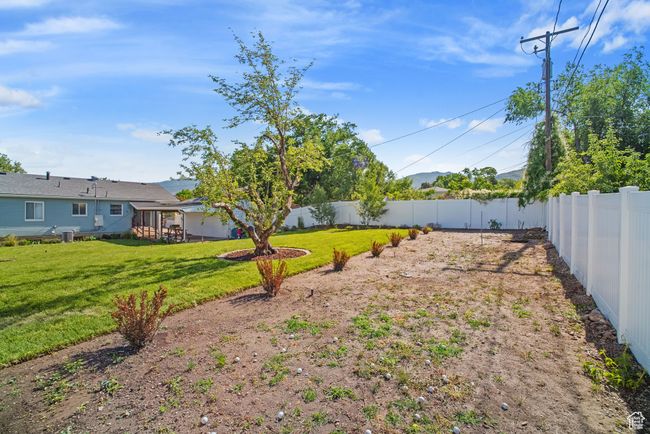 View of yard | Image 27