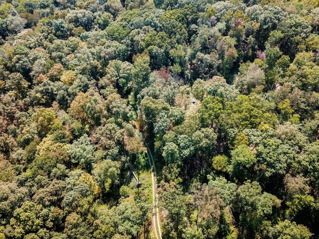 Access road through whole property | Image 12