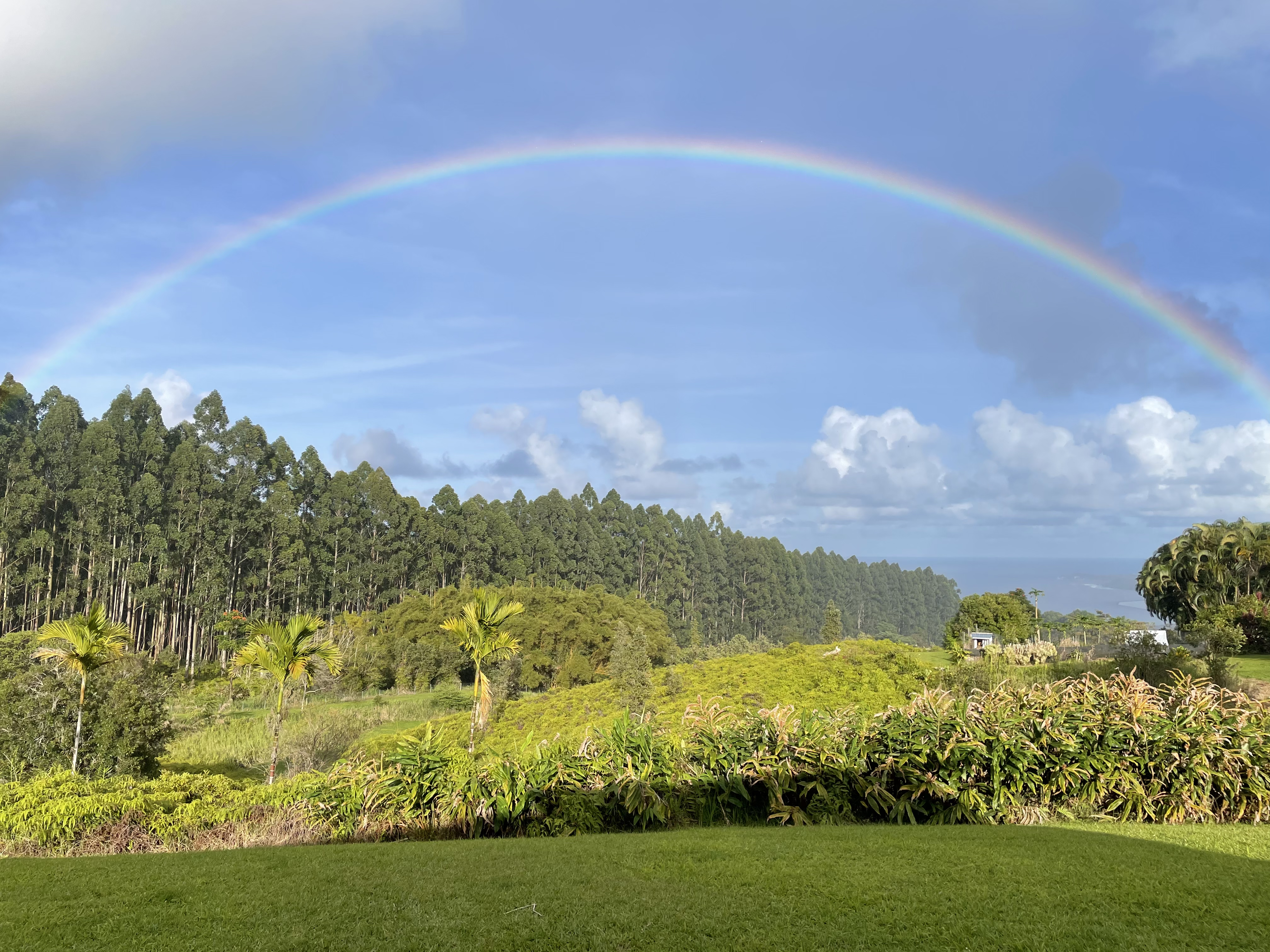 Residential in Hilo 3