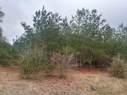 0 Highway 38 S, Blenheim, SC, 29516 | Card Image