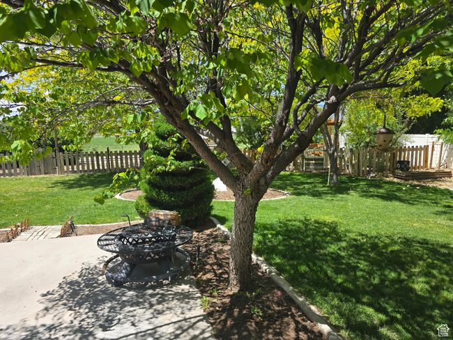 View of yard with a patio and an outdoor fire pit | Image 87