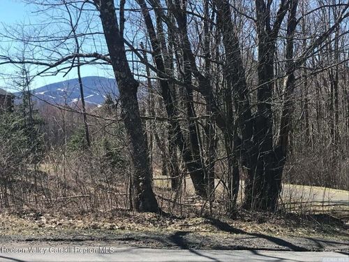 0 Goshen St, Jewett, NY, 12444 | Card Image