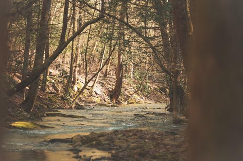 12733 Jones Gap Rd, Soddy Daisy, TN, 37379-8400 | Card Image