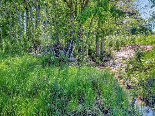 3103 Cheeseland Rd, Home with 0 bedrooms, 0 bathrooms and null parking in Pollok TX | Image 35