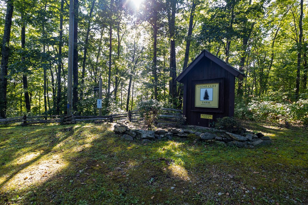 Land in Cullowhee 4