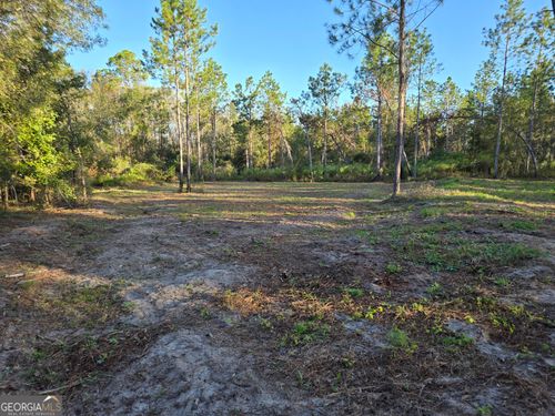 0 Alton Lawson Rd, Adrian, GA, 31002 | Card Image